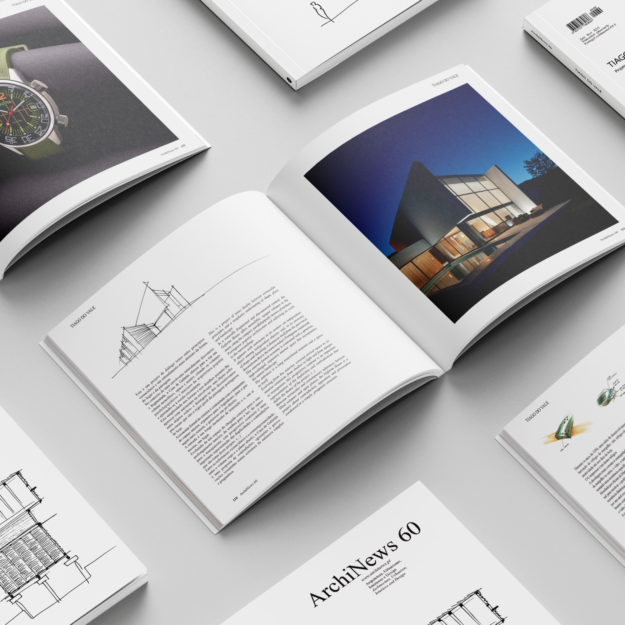 Tiago do Vale, Projetos, 110